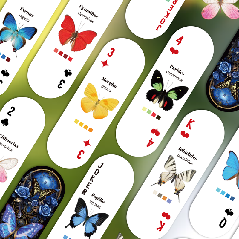 Mr.Paper Table Card Game 54/Bo - Graded Card Display incelemesi ve fiyatı
